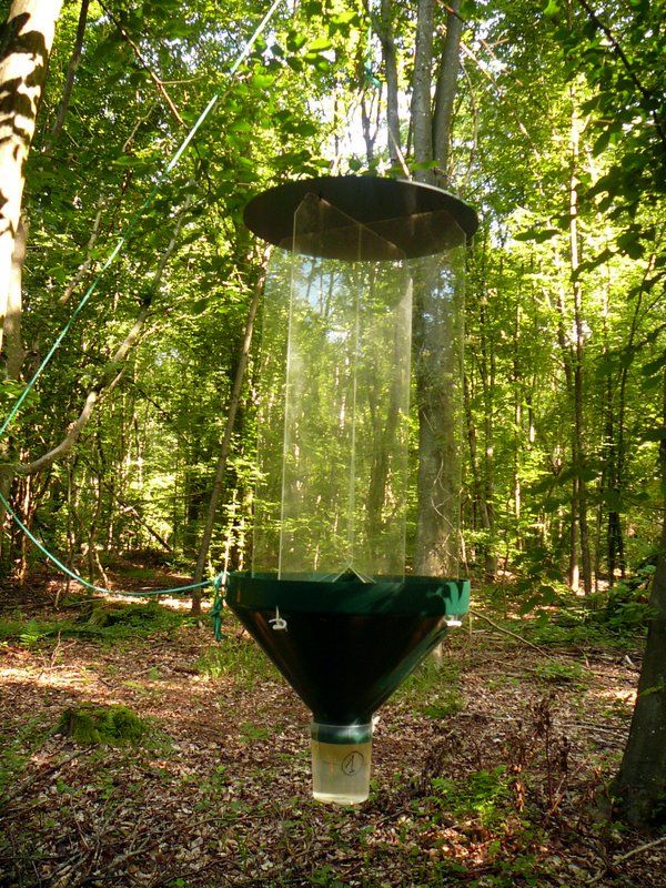 Piège à insectes 001